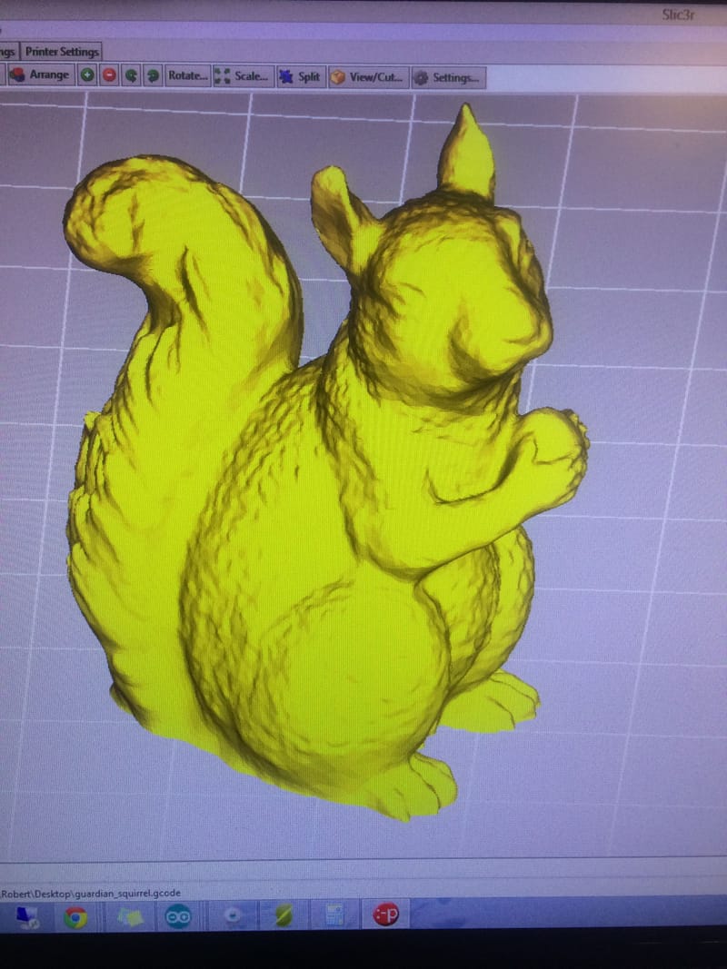 Preparing Print Number 2 — Squirrel!